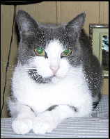 &laquo Big Brother is waching you &raquo