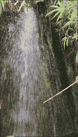 Wasserfall